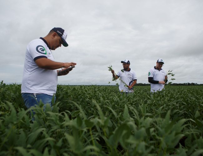 Impulsionada pelo clima favorável e aumento de área, safra de soja deve ser a maior da história