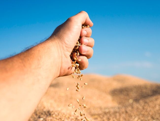 Falta de rastreabilidade das commodities agrícolas coloca em risco as exportações do Brasil