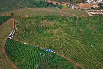 inpEV comemora criação da Semana Estadual do Campo Limpo no Espírito Santo