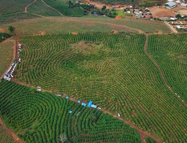 inpEV comemora criação da Semana Estadual do Campo Limpo no Espírito Santo