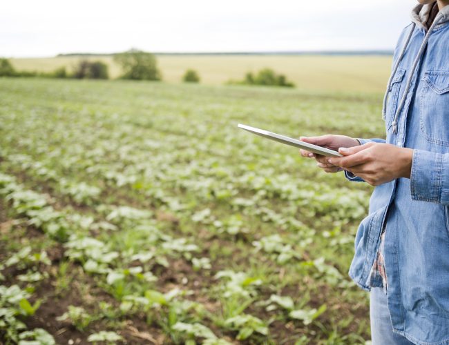 Setor agropecuário em 2025: regulações mais rígidas e desafios para produtores