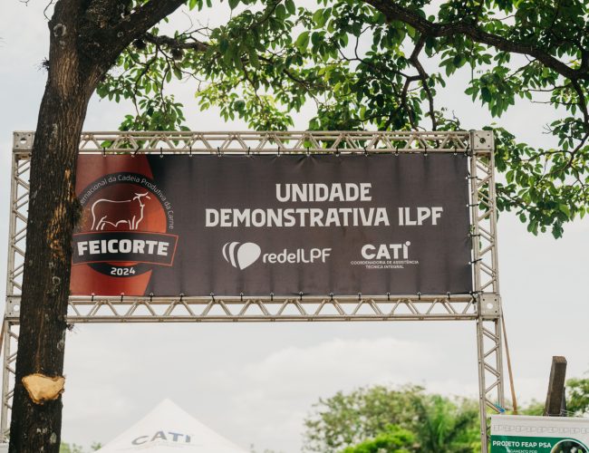 Área demonstrativa do sistema ILPF exibirá possibilidades da integração na pecuária durante a Feicorte