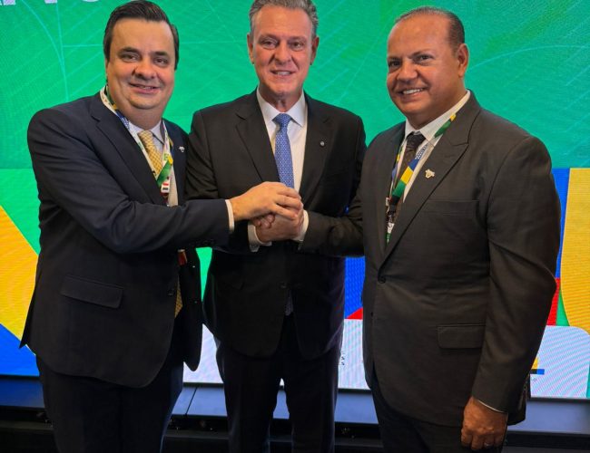 Brasil é território livre de febre aftosa sem vacinação