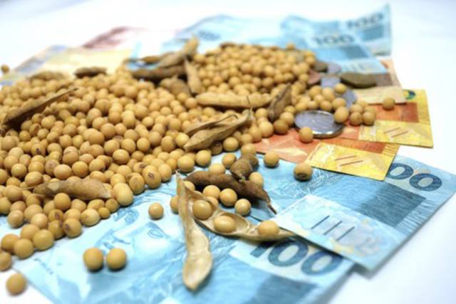Mercado da soja mantém tendência sem grandes variações, com destaque para a lentidão nas negociações
