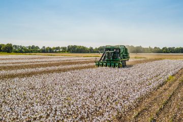 Negócios Agro – evite prejuízos na colheita: a manutenção entre safras pode reduzir em até 80% os problemas nas colhedoras de algodão