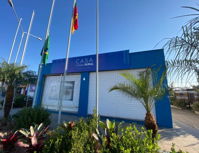 Expointer 2025 irá marcar o início da colheita nacional do trigo