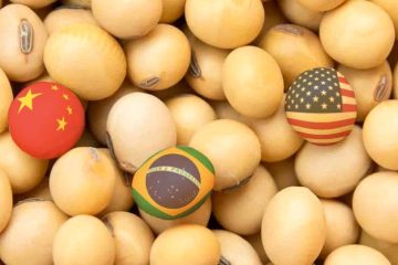 Consultoria avalia como inviável aumento de vendas de soja dos EUA para a China quadruplicarem