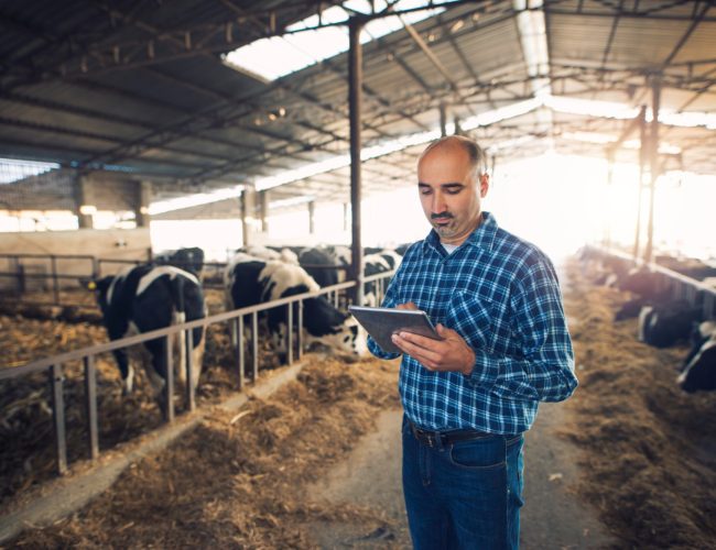 Como o planejamento financeiro ajuda a acessar capital no agronegócio